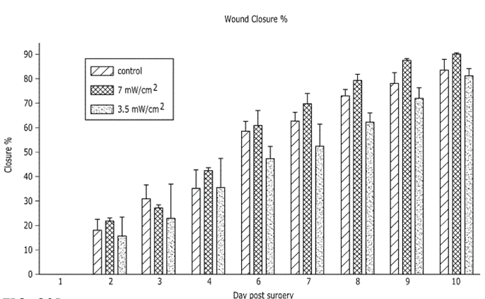 Text Box: Fig 1. Comparison of irradiated post-surgery wound closure against control