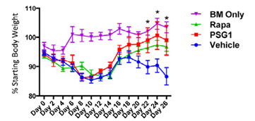 graph describing result